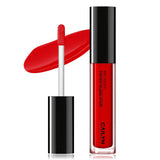 Art Touch Tinted Gloss Stick